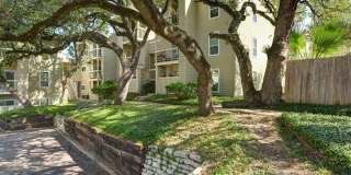 Hyde Park Oaks #302 Gallery 1