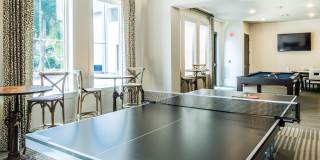 Novus Westshore Gallery 9