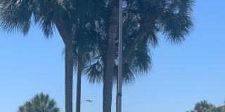 1 Bed / 1 Bath Condo. In Altamonte Springs! Gallery 1