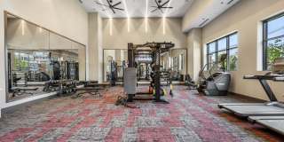 Alta French Hill Gallery 42