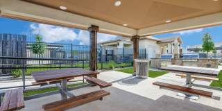Palladium McKinney Gallery 8