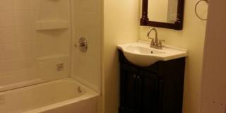 205 Lexington Ave Apt 11 Gallery 3