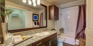 Keller Springs Crossing Apartments Gallery 16