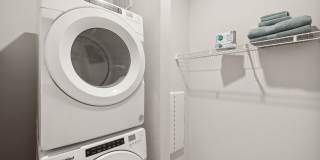 Ascend at Woodlands Gallery 50