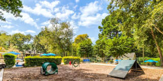 Laurel Oaks Gallery 22