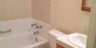 Recently Remodeled Four Bedroom Rosemont Home with Large Backyard! Gallery 8