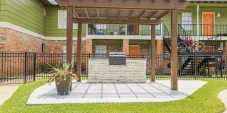 Spring Pine Gallery 7