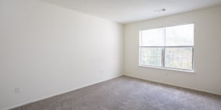 Town Walk at Hamden Hills Gallery 22