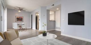 Nova Pointe Gallery 2