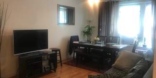 1261 W Loyola AveApt 3 Gallery 3
