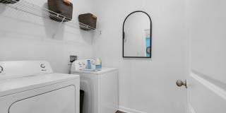 Terra Mar Gallery 16