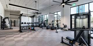 Rivette Tower Gallery 34