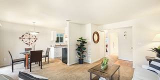 Rainier Pointe Gallery 19