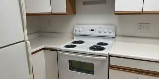 New King Edward Gallery 515