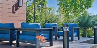 Silver Oak Gallery 19