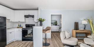 Newly Remodeled 1 Bedroom Apartment Gallery 1