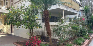 163 Avenida Majorca Gallery 1