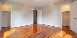 124 Haynsworth Street Gallery 12