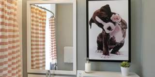 Alister Morristown Gallery 11