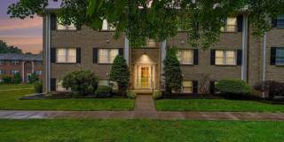 208-B TIMBER Trail Gallery 1