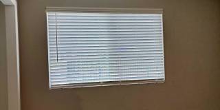 Marine Park Gallery 60