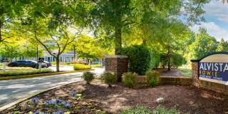 Alvista Bowie Gallery 40