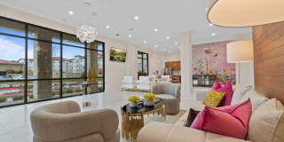 Reveal Lake Ridge Gallery 5