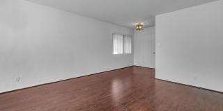 319 Gallery 7