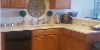 WALK TO BEACH, 3 BEDROOM 2 CAR GARAGE HOME!!! CLOSE TO EVERYTHING! Gallery 7