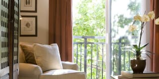 Sidney Sidney Gallery 3