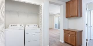 Civic Square Gallery 18