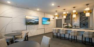 The Carter Gallery 38