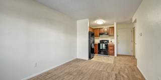 Austin Park Gallery 12