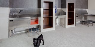 Avalon Boonton Gallery 18