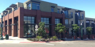 Olea Gallery 63