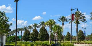 Velara Luxury Apartments Gallery 45