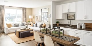 Apex Laguna Niguel Gallery 1