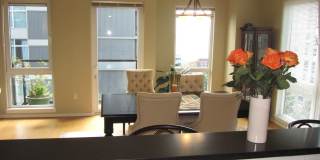 81 Clay Street Gallery 16