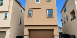 1482 Upland Sandpiper Street Gallery 3