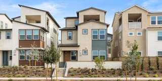 112 Junco 112 Junco Gallery 1