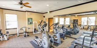 Windsor Commons Gallery 21