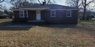 206 Columbia Ave, Chapin SC 29036 Gallery 3