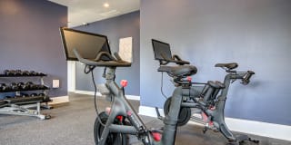 Westfield Village Gallery 12