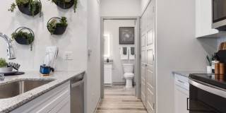 Alta Surprise Gallery 21