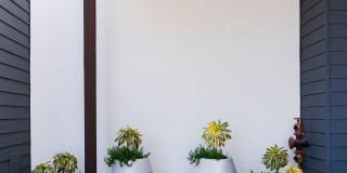 The Tolman Gallery 7