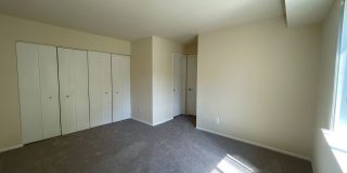 Northgate Gallery 280