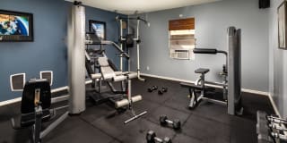 Renaissance Terrace Gallery 13