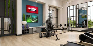Avela Gallery 12