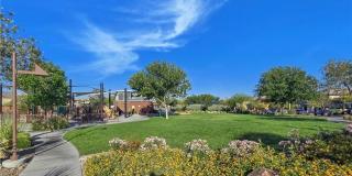 10667 HARVEST GREEN Way Gallery 45