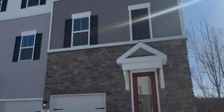 59 Basswood Street Gallery 1